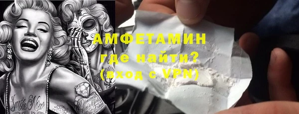 ГАЛЛЮЦИНОГЕННЫЕ ГРИБЫ Богданович